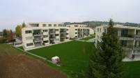 YUNC2413